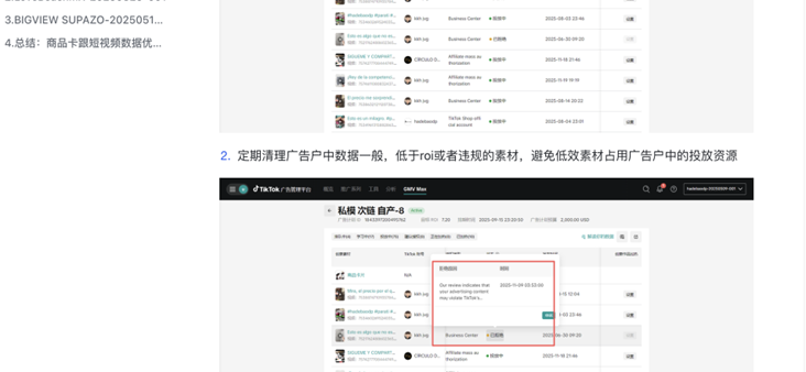 TikTok 广告账户数据界面